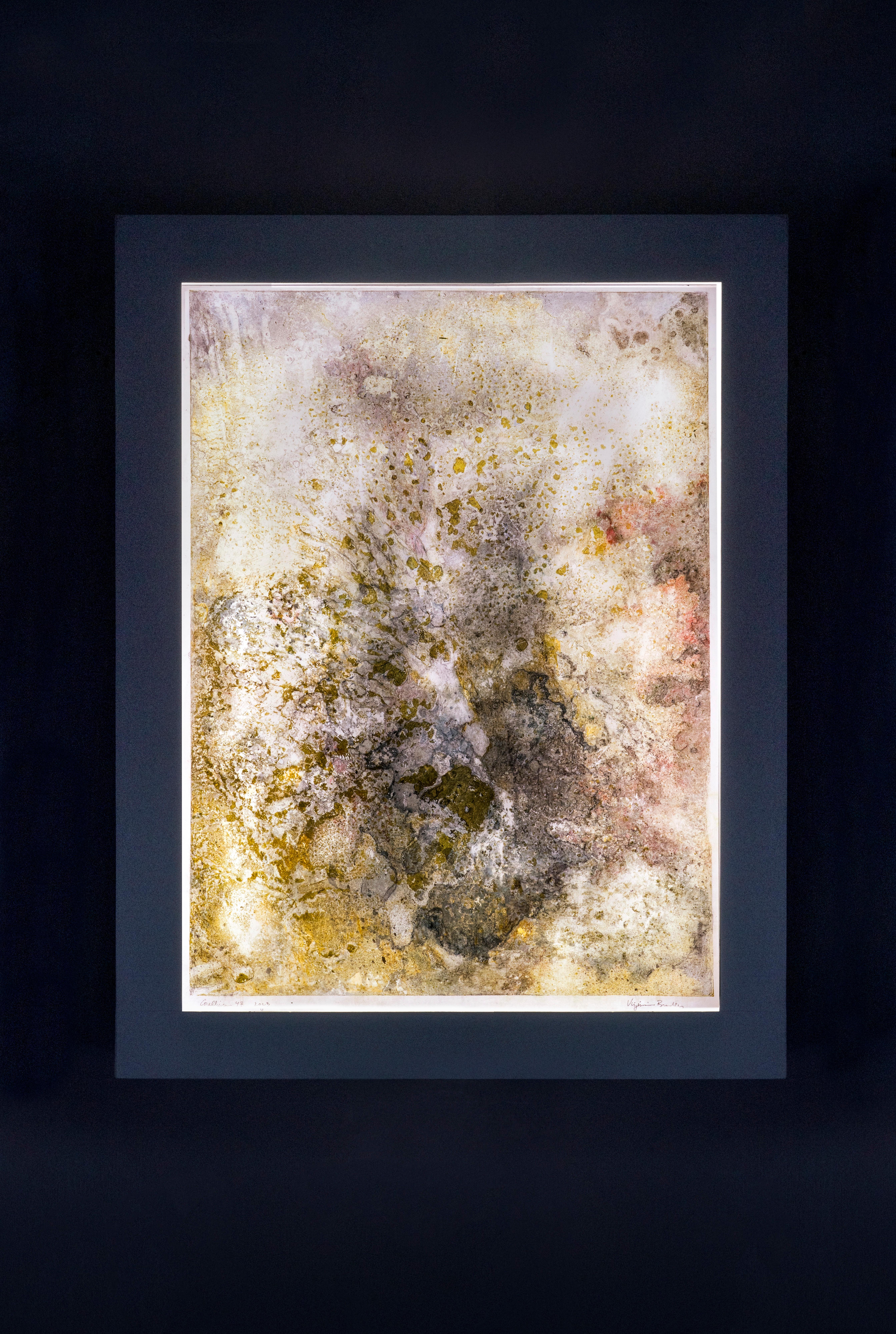 Corallium 47 - Abstract Painting by Virginia Bradley