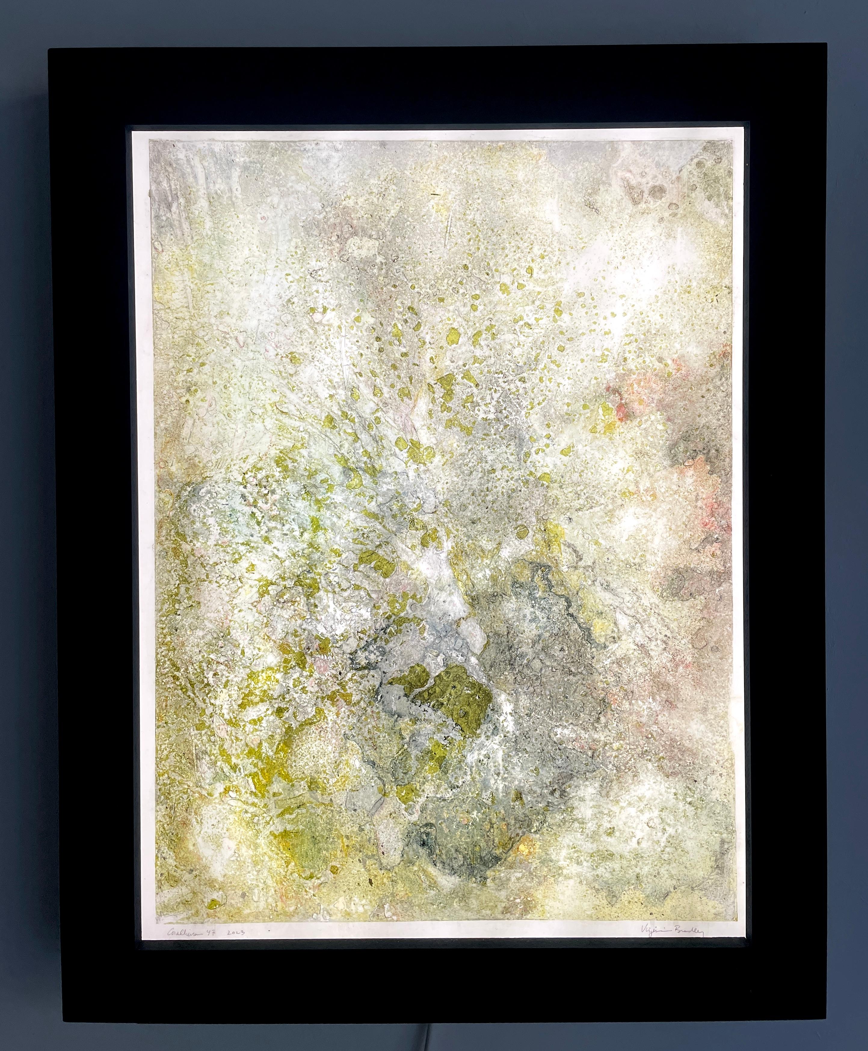 Corallium 47 - Painting by Virginia Bradley