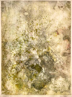 Corallium 47