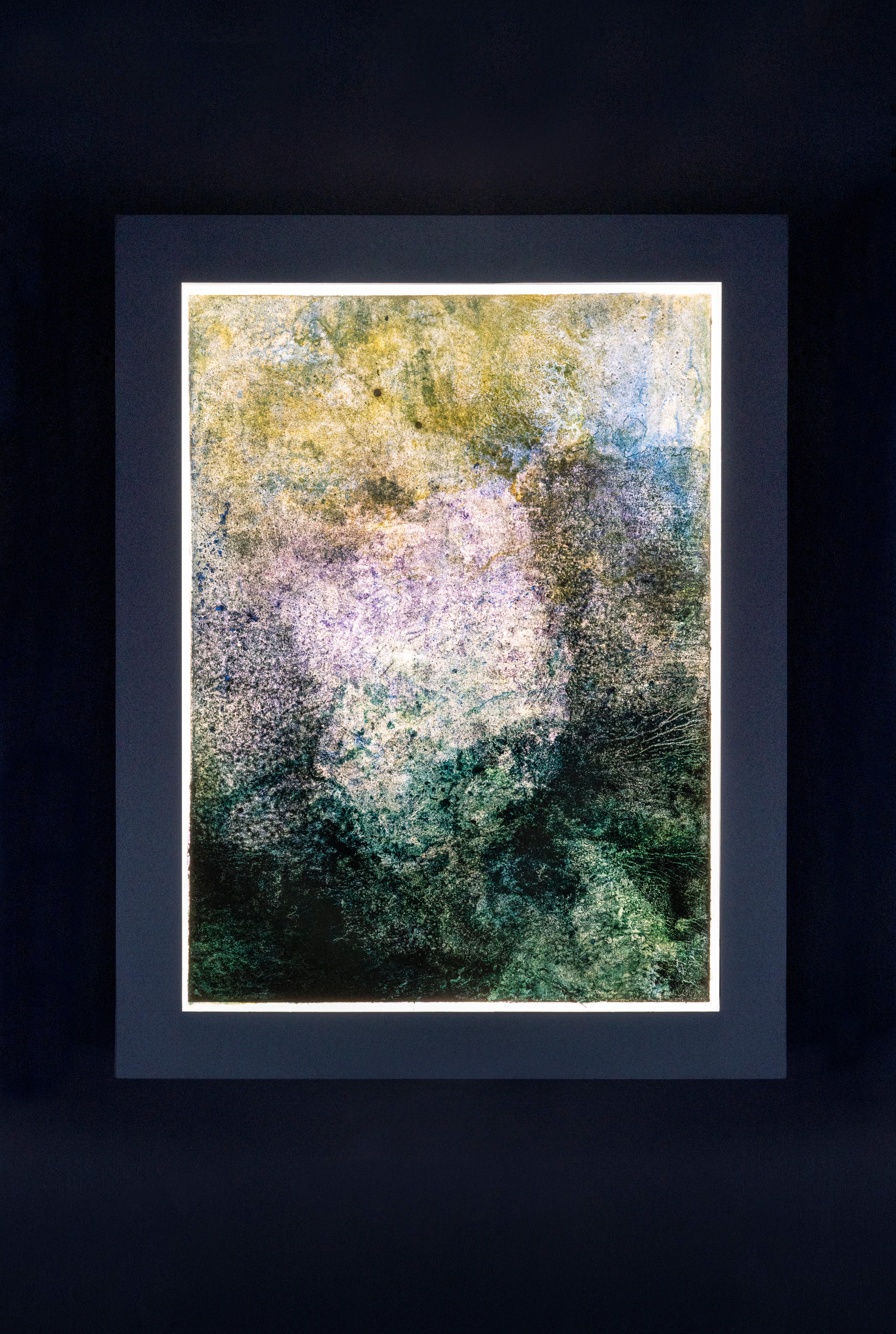 Corallium 48 - Painting by Virginia Bradley