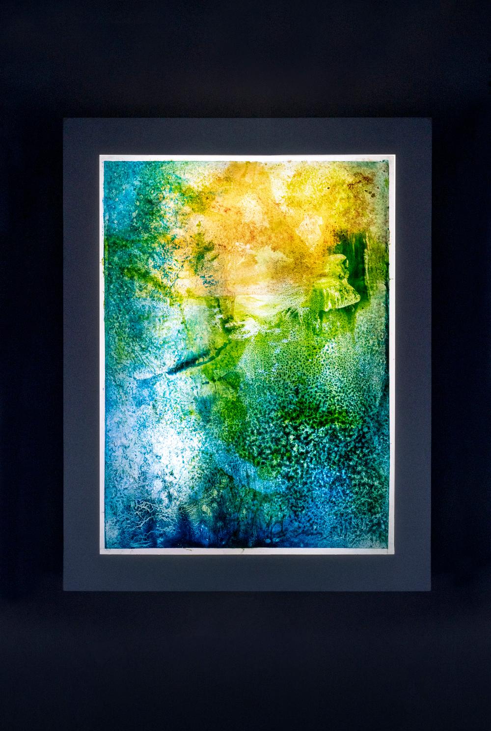 Corallium 52 - Painting by Virginia Bradley