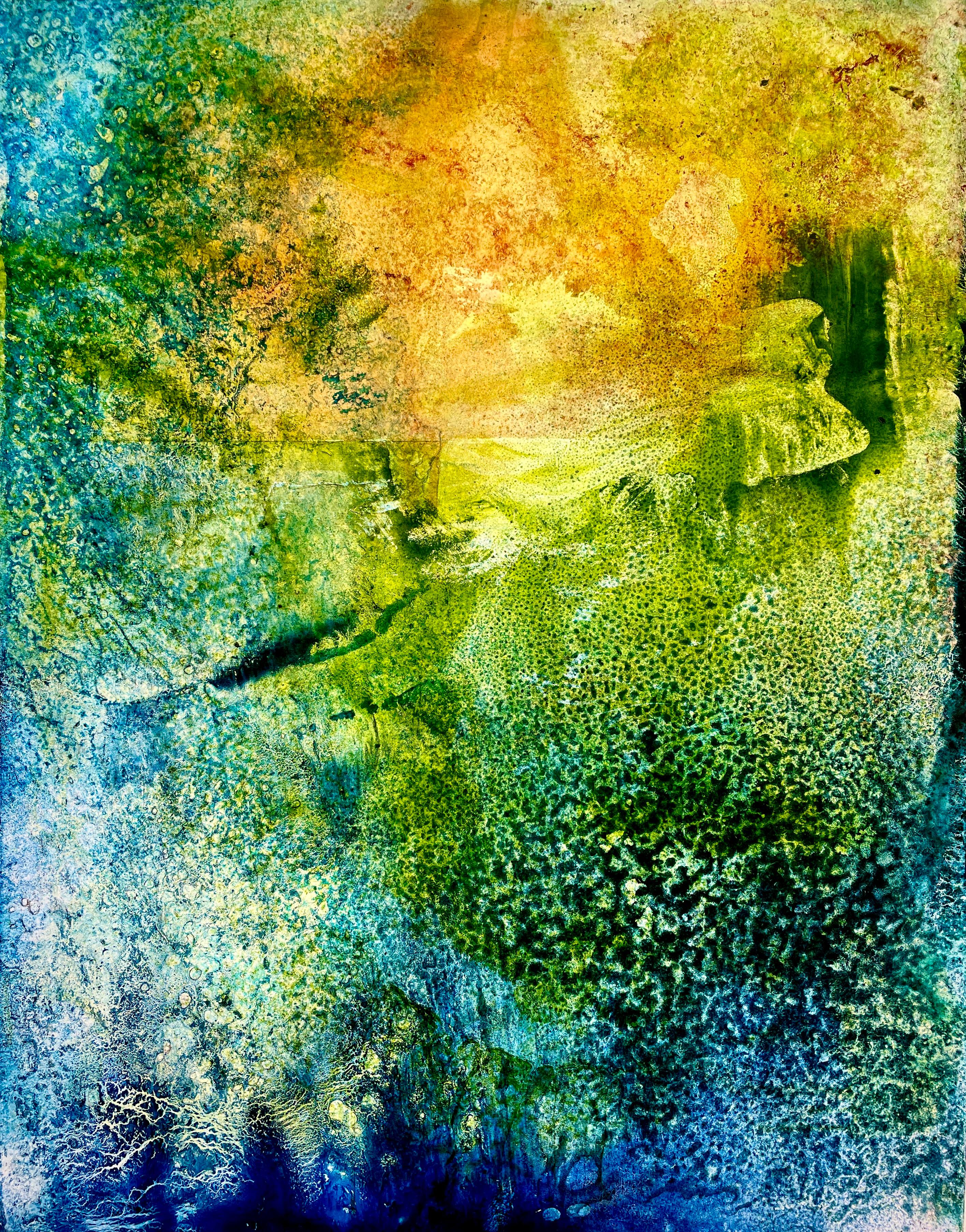 Corallium 52