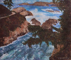 Point Lobos Cove California Coastline