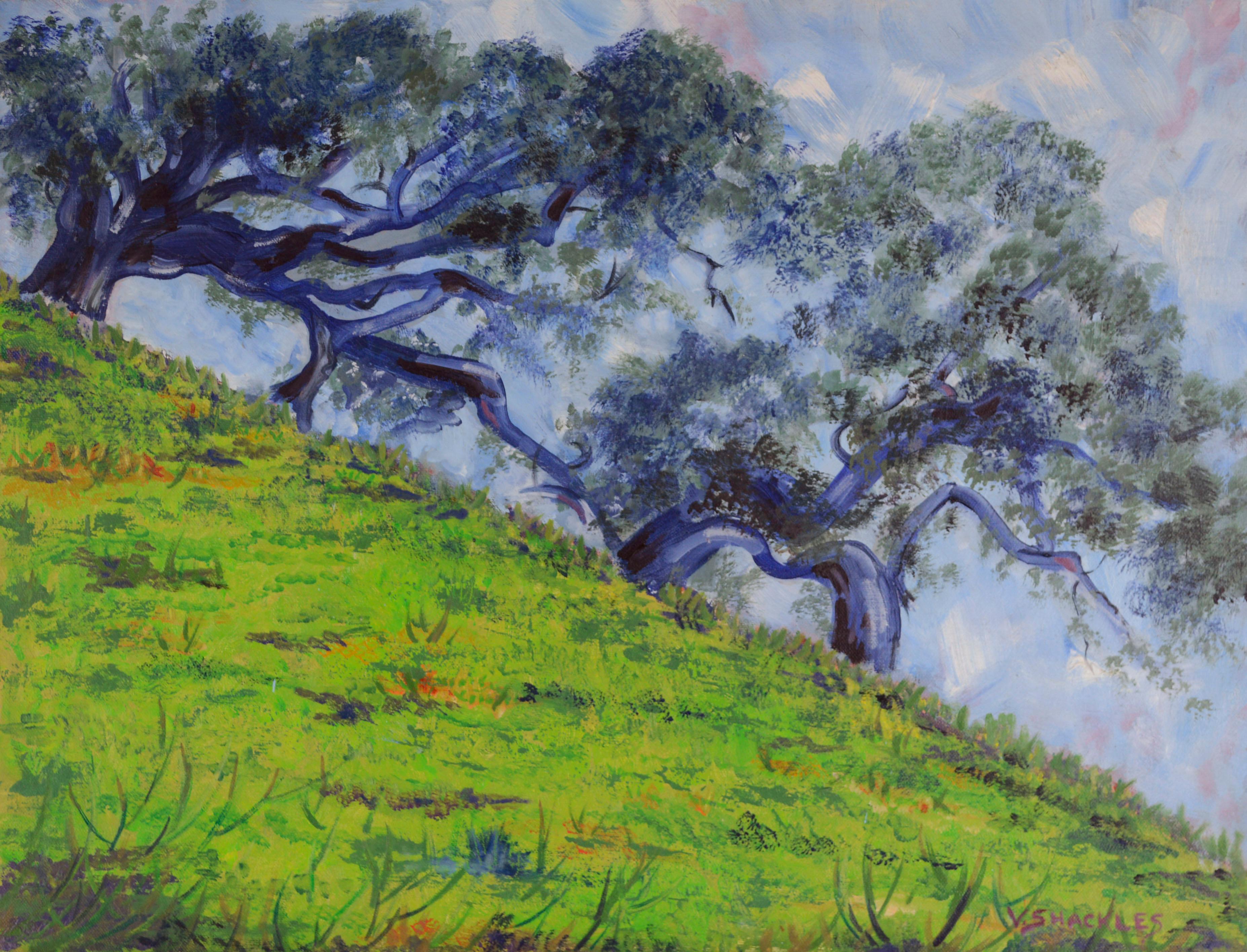 Virginia Shackles Landscape Painting – Hillside Zypressenbäume, Monterey, Kalifornien, Landschaft