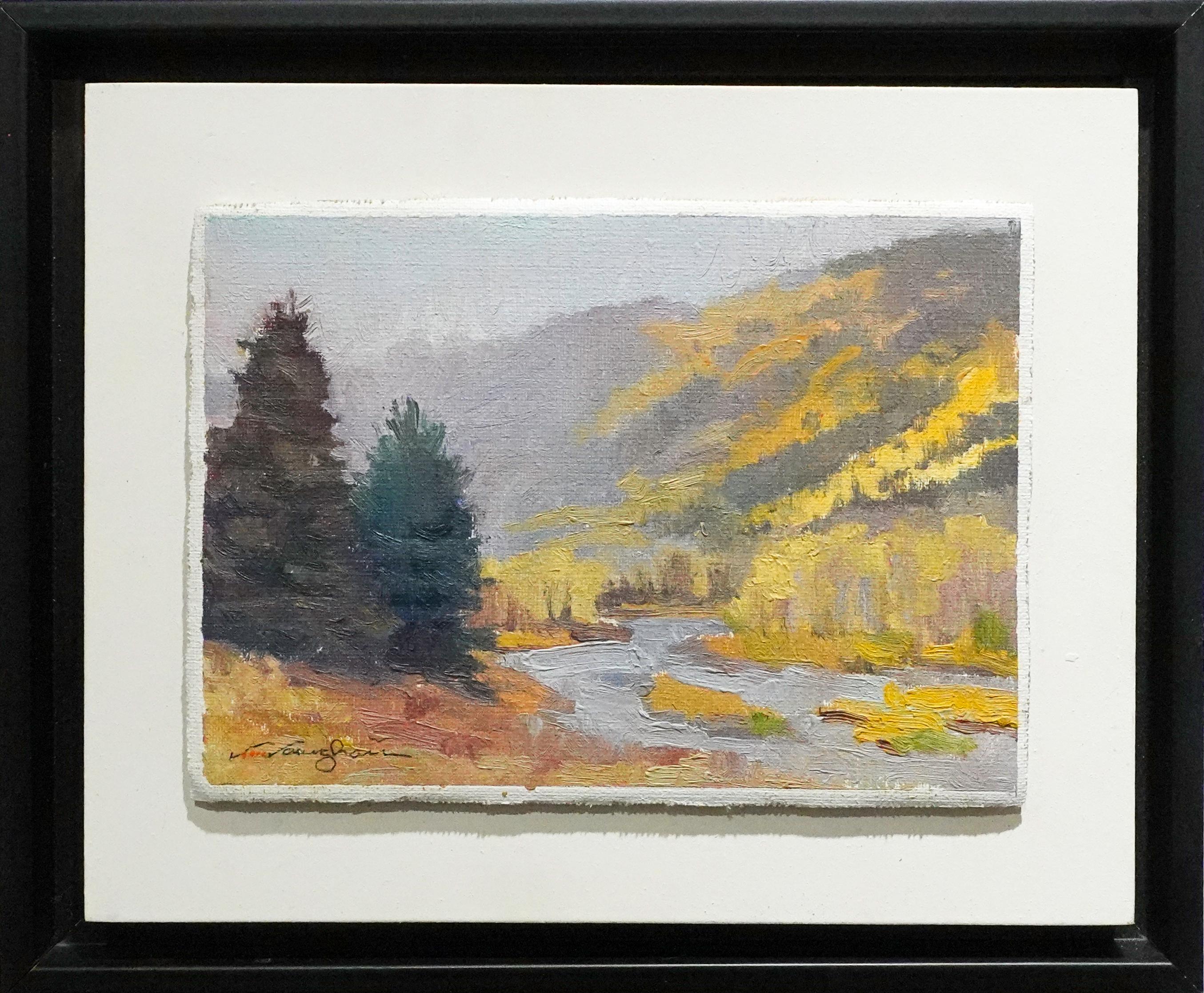 Golden Treetops Conejos River in Süd-Colorado Pappel Bäume Sonne Strahlen im Angebot 4