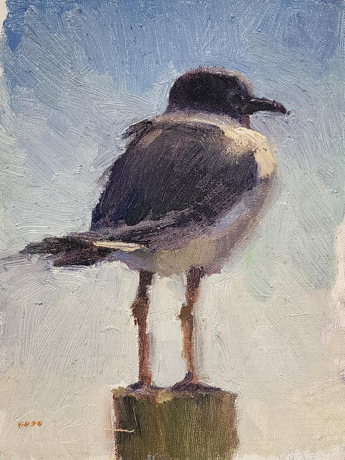 Little Gull, Impressionism ,Landscape, Framed, Plein Aire, Birds, Texas Coast