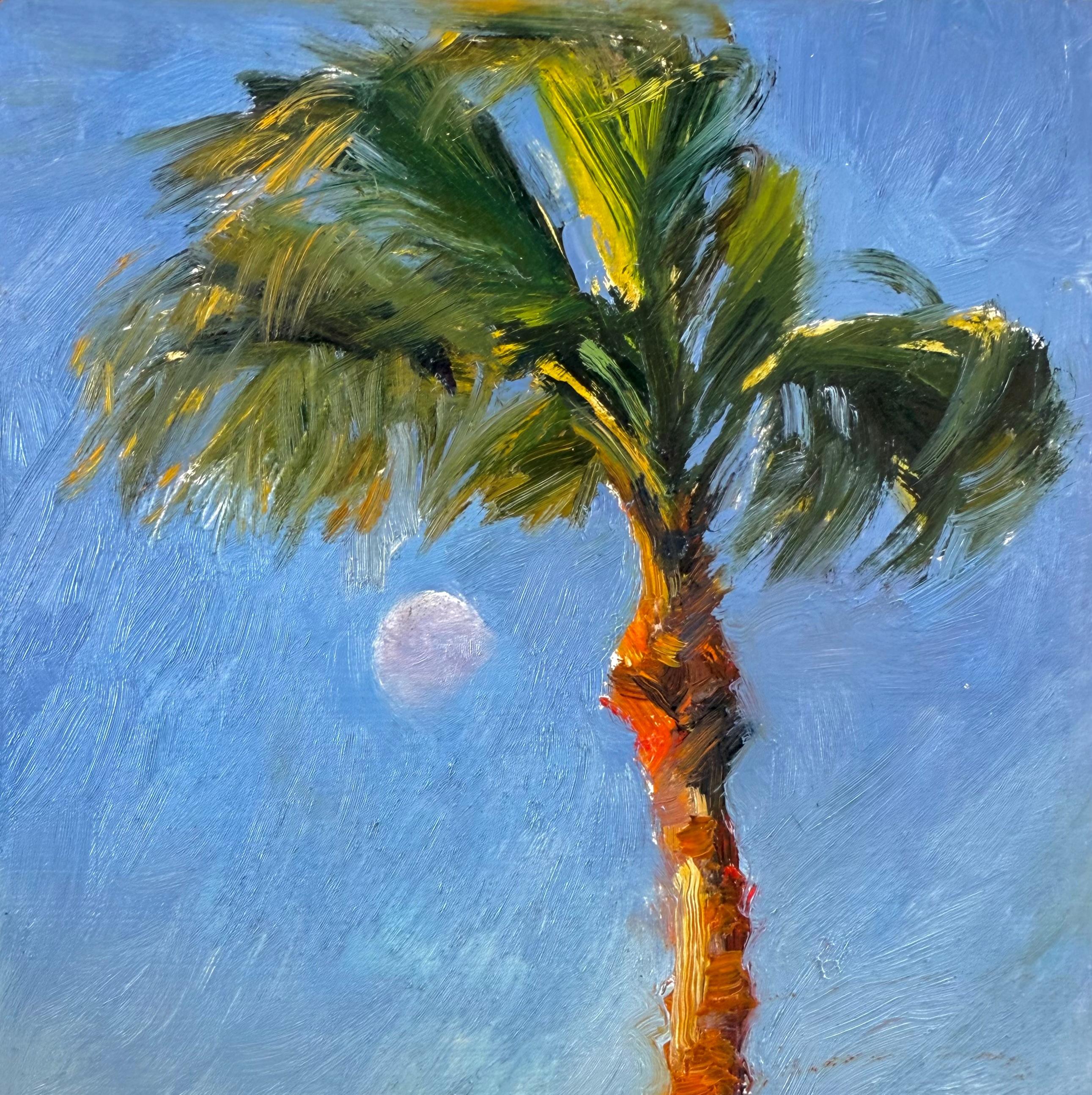 Moonset Palm Rockport Texas Wind Blue Sky Waning Moon Oil Impressionism 8