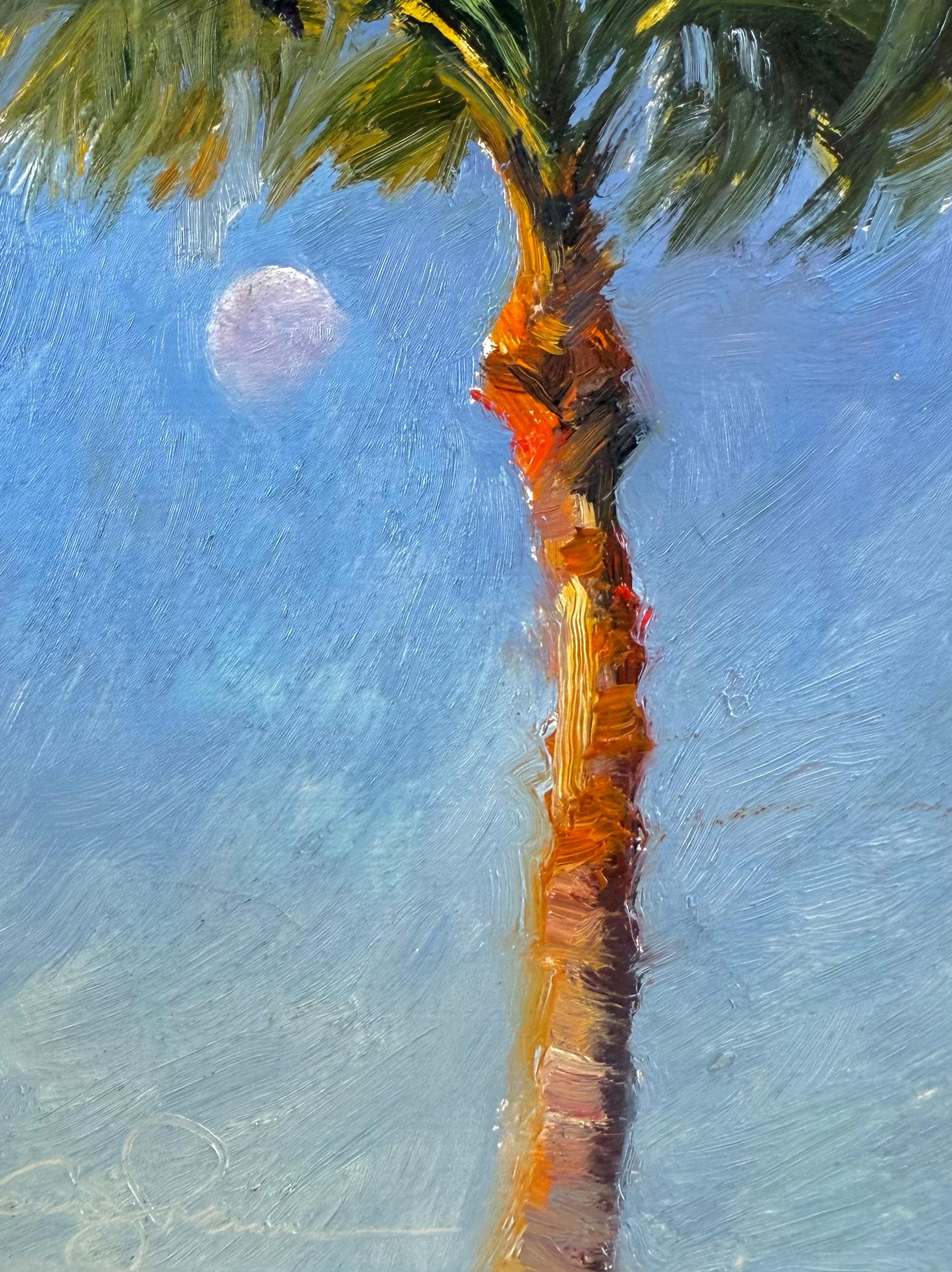 Moonset Palm Rockport Texas Wind Blue Sky Waning Moon Oil Impressionism 8