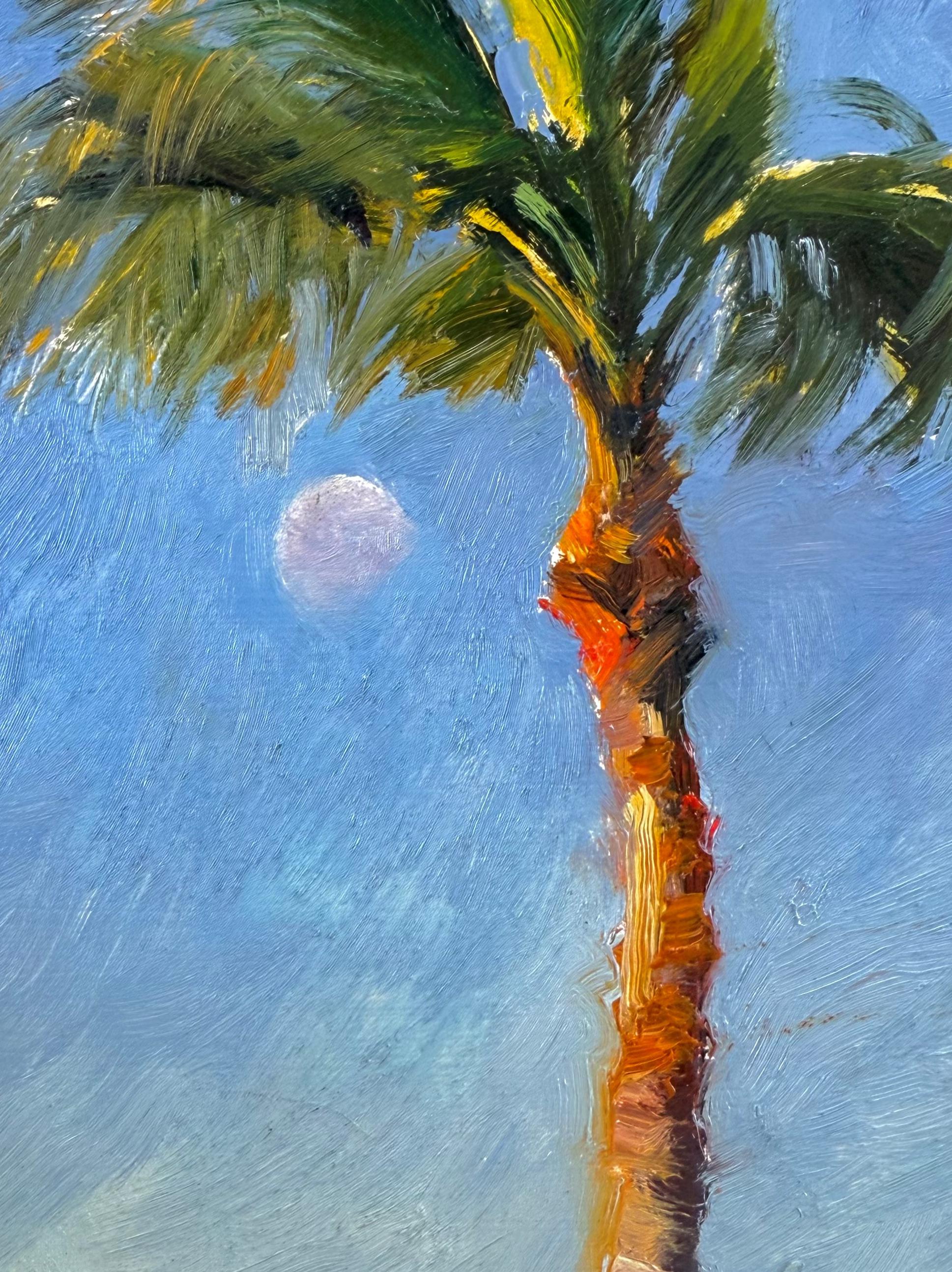 Moonset Palm Rockport Texas Wind Blue Sky Waning Moon Oil Impressionism 8