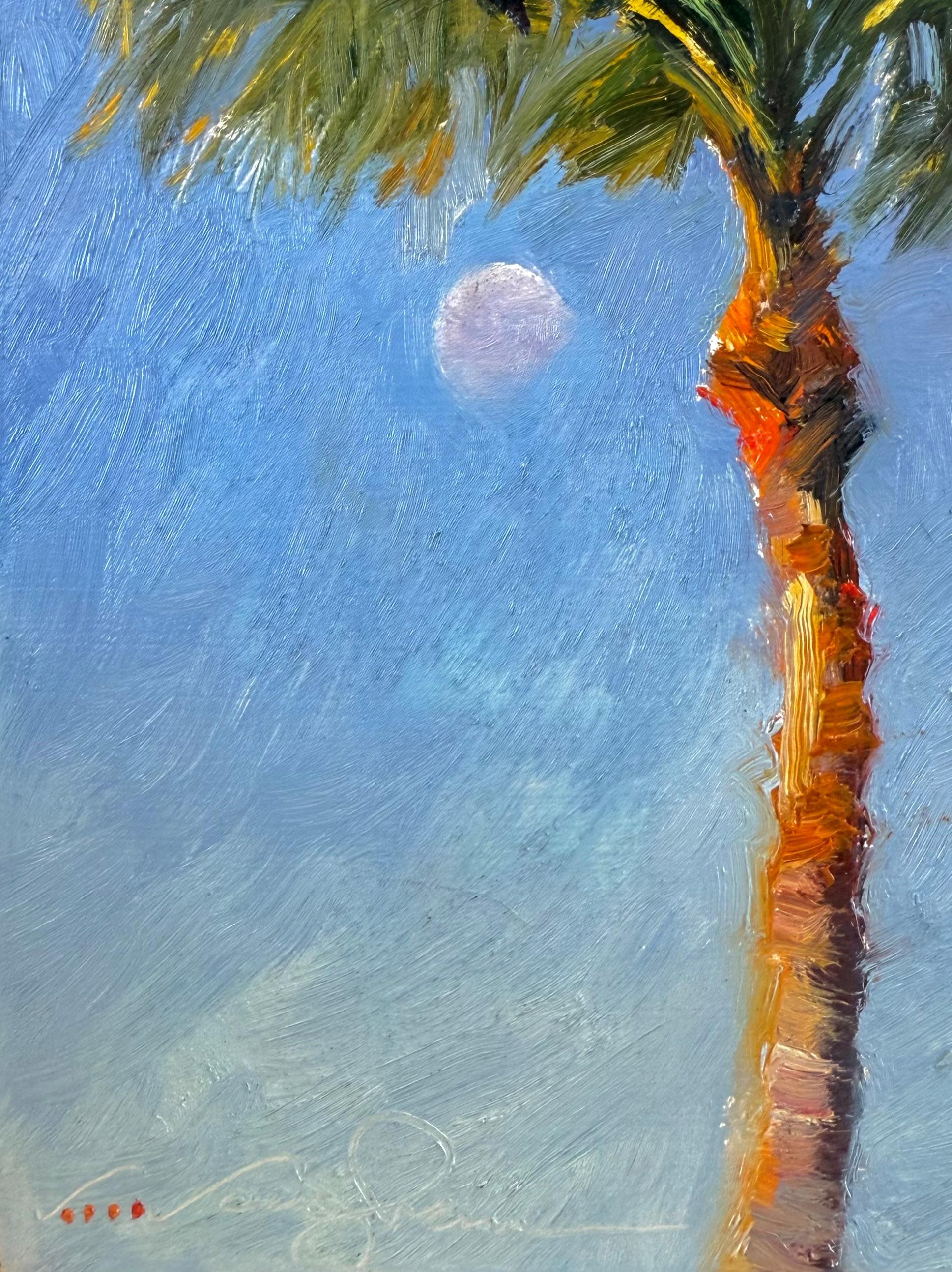 Moonset Palm Rockport Texas Wind Blue Sky Waning Moon Huile Impressionnisme 8 