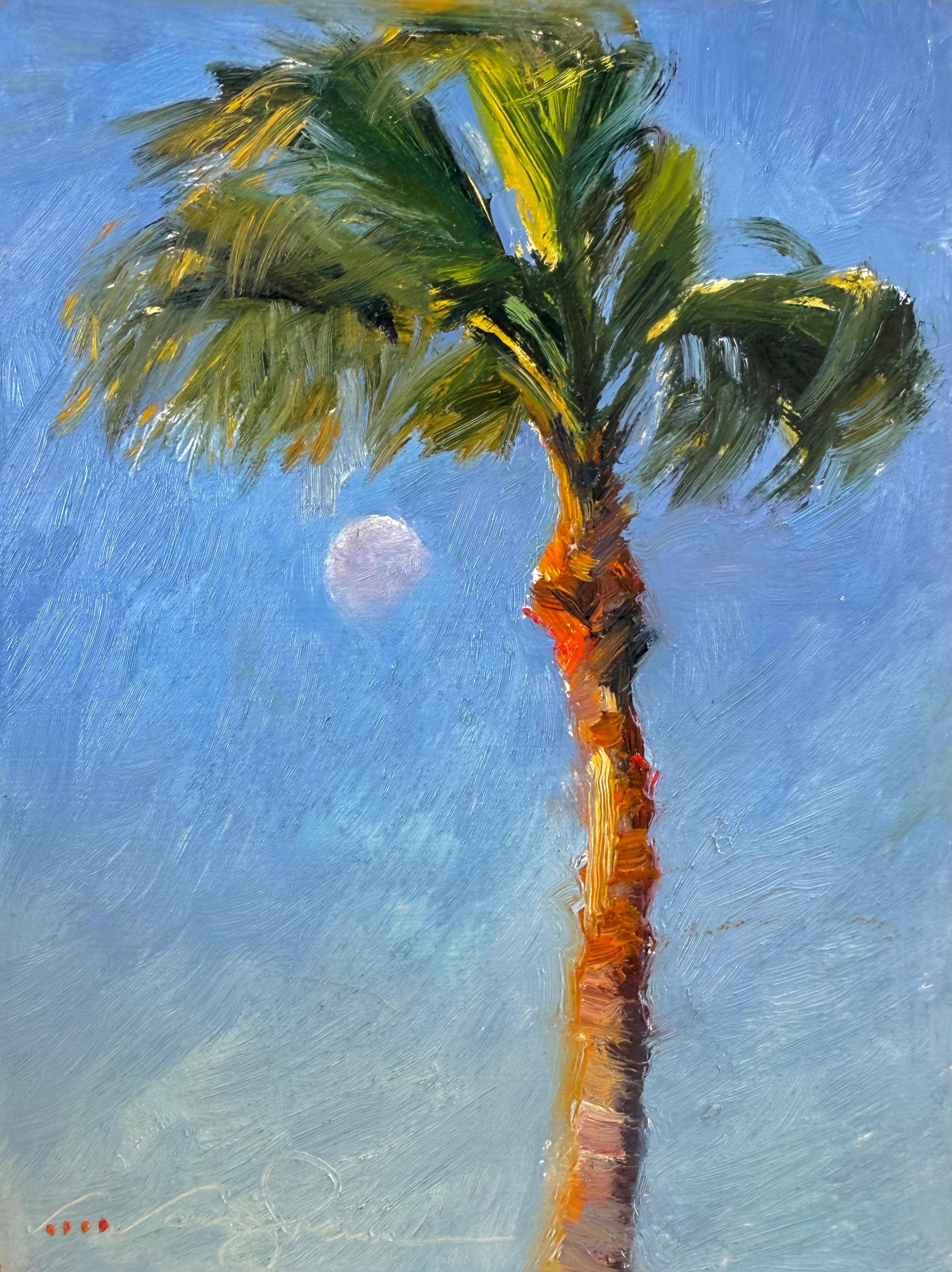 Moonset Palm Rockport Texas Wind Blue Sky Waning Moon Oil Impressionism 8"x6"