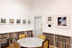 'Legacy White' - film photography - wild nature - magnolia - vines - green