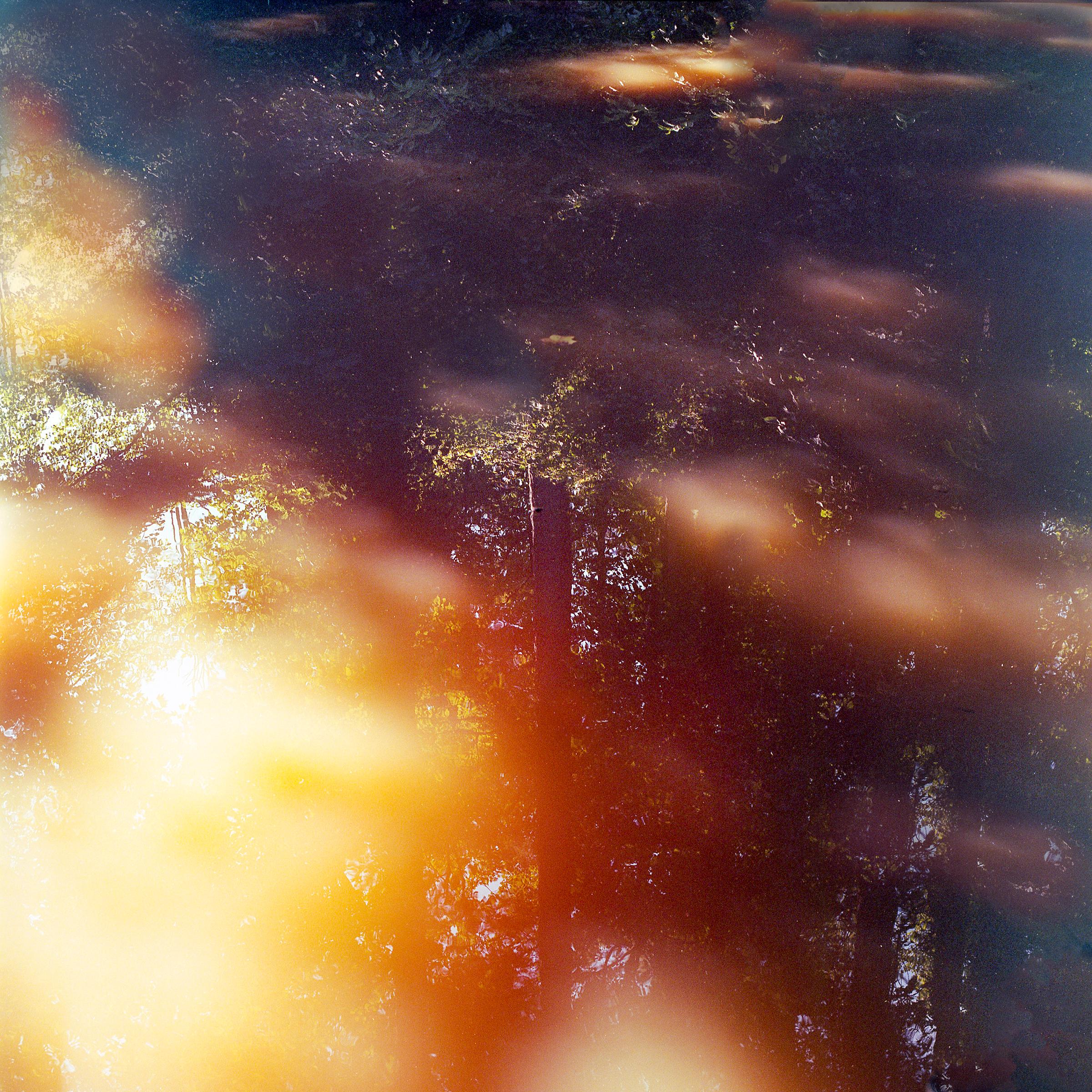 Virginie Kippelen-Drujon Color Photograph - 'Yellow Reflections' - film photography - nature - fall - leaves - wilderness 