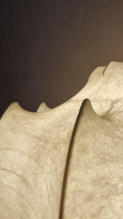 Viscontea Achille and Piergiacomo Castiglioni Flos, 1960