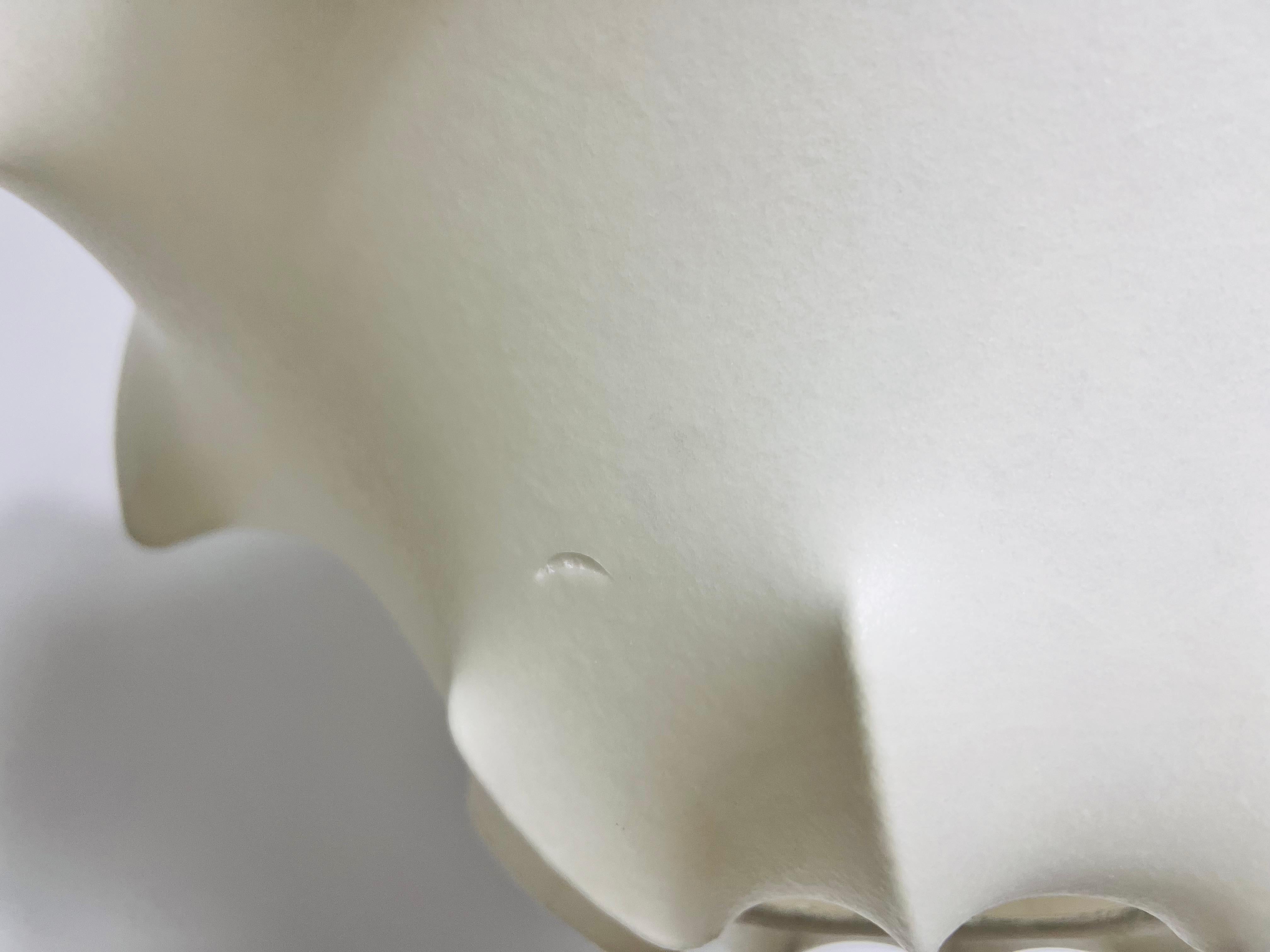 Viscontea Cocoon Pendant Light by Achille and Pier Giacomo Castiglioni for Flos 6