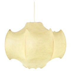 Organic Material Chandeliers and Pendants