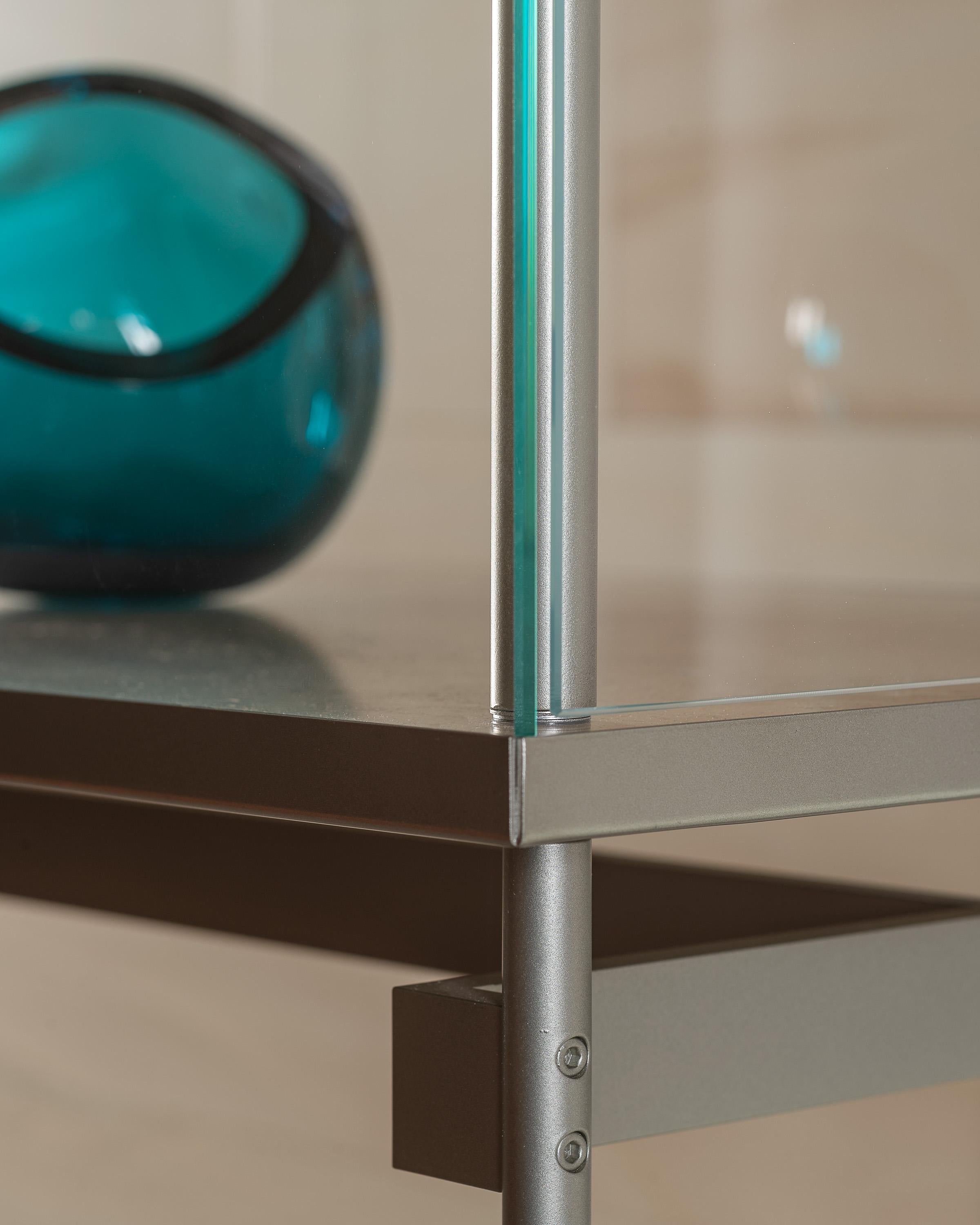 Contemporary Visibile M Vertical Display Cabinet by Angelo Alinea For Sale