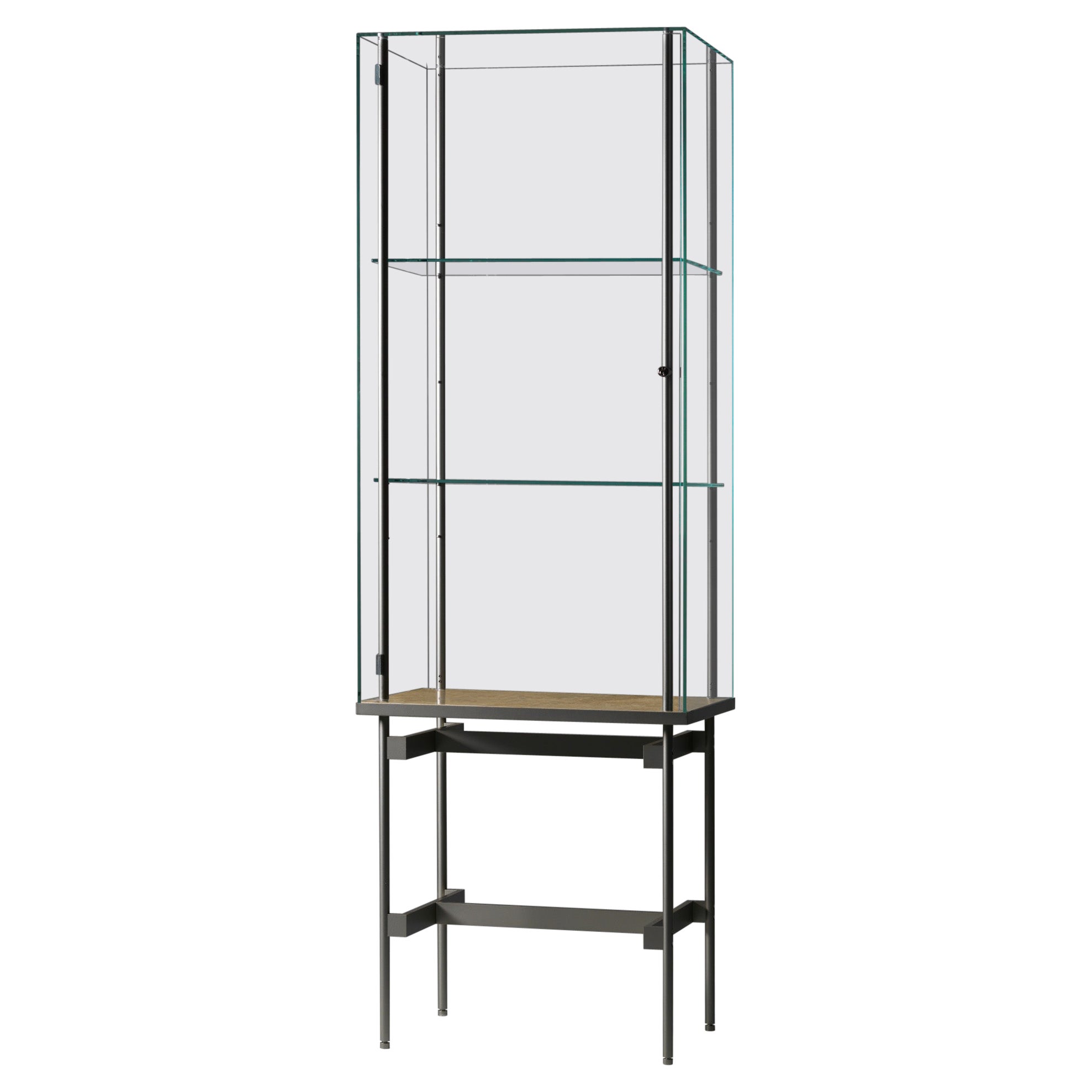Visibile M Vertical Display Cabinet by Angelo Alinea For Sale