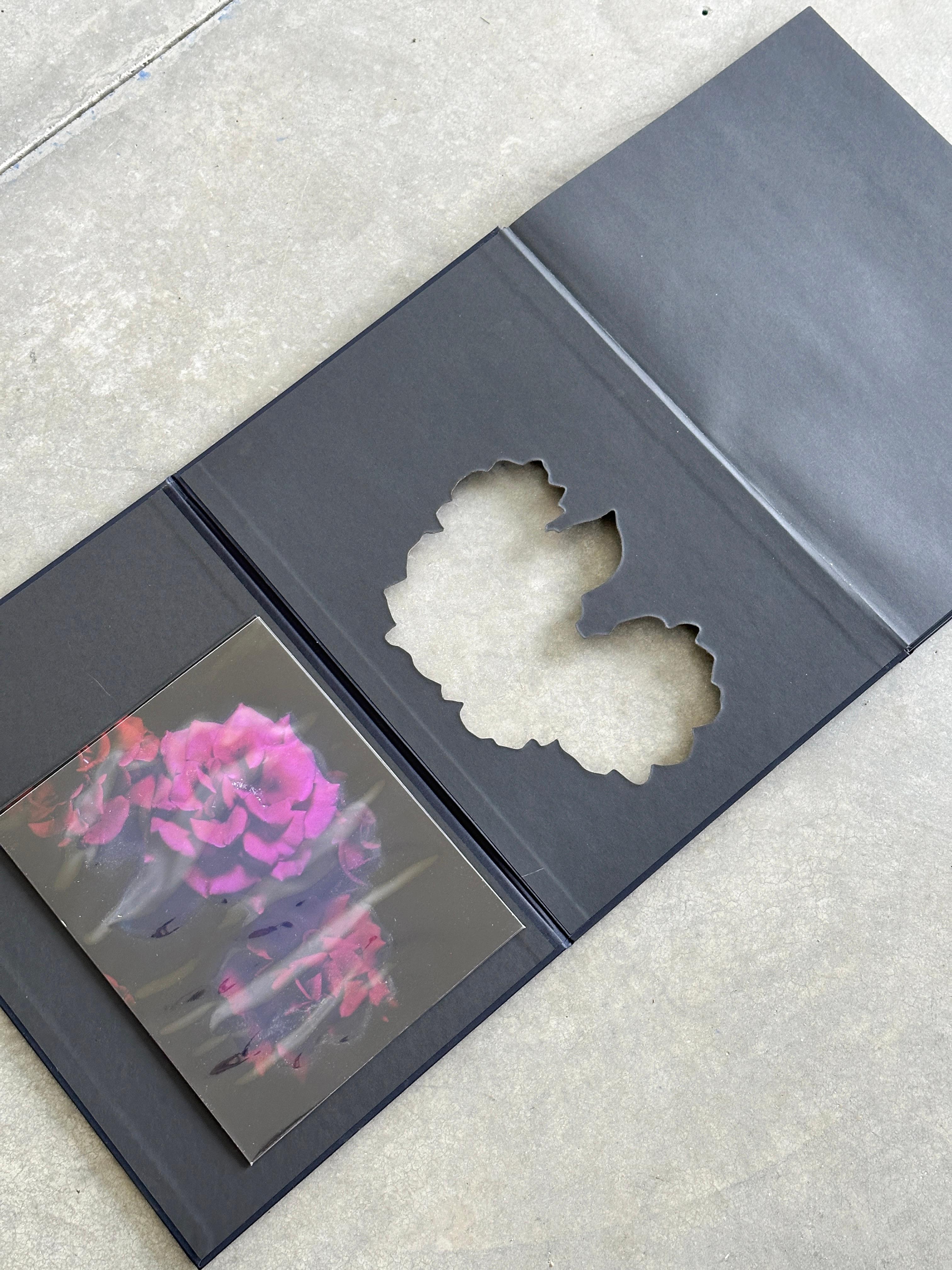 Bois VISIONAIRE 40 : Roses de David Sims (1202/3000) en vente