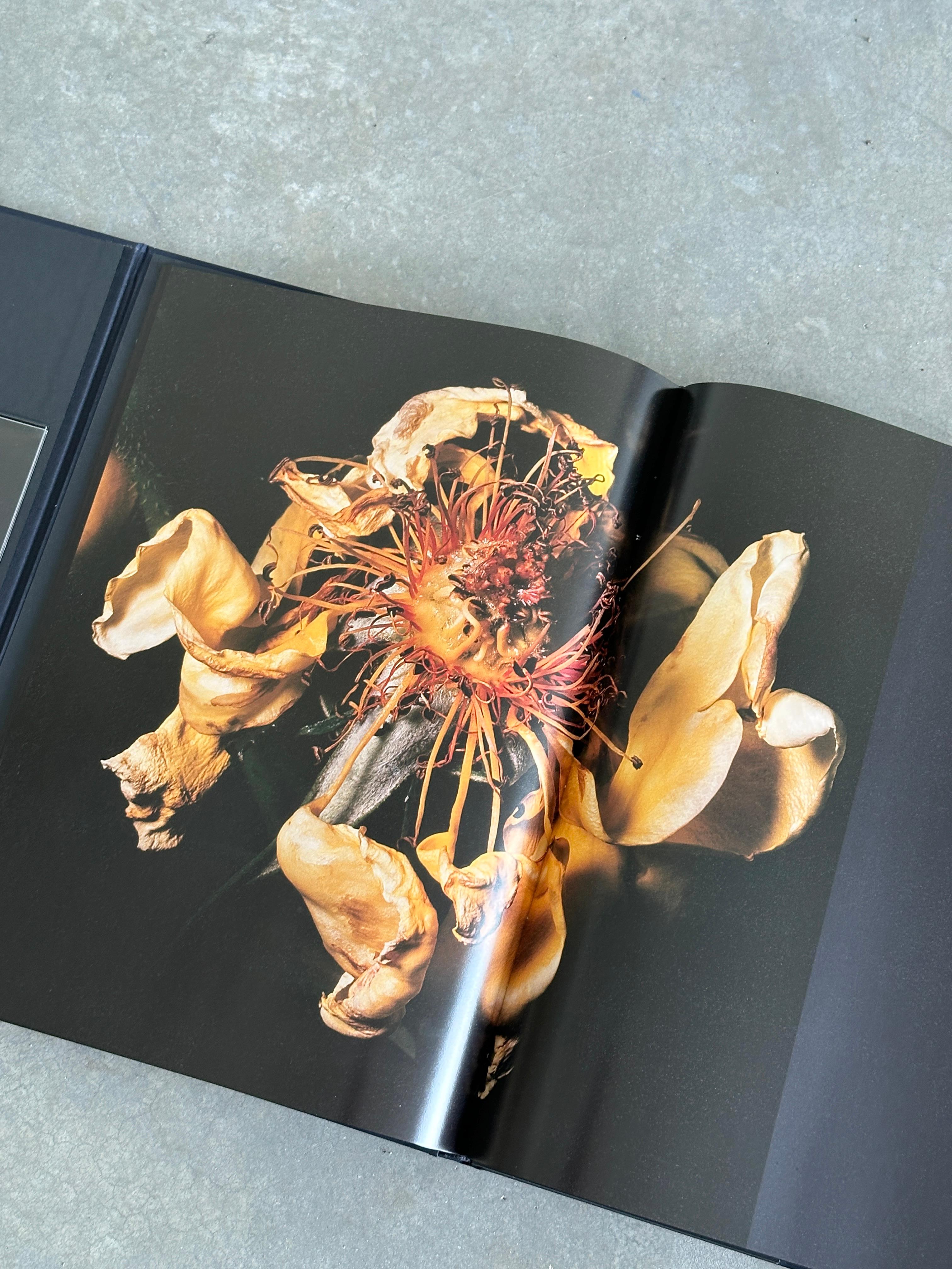 VISIONAIRE 40 : Roses de David Sims (1202/3000) en vente 1
