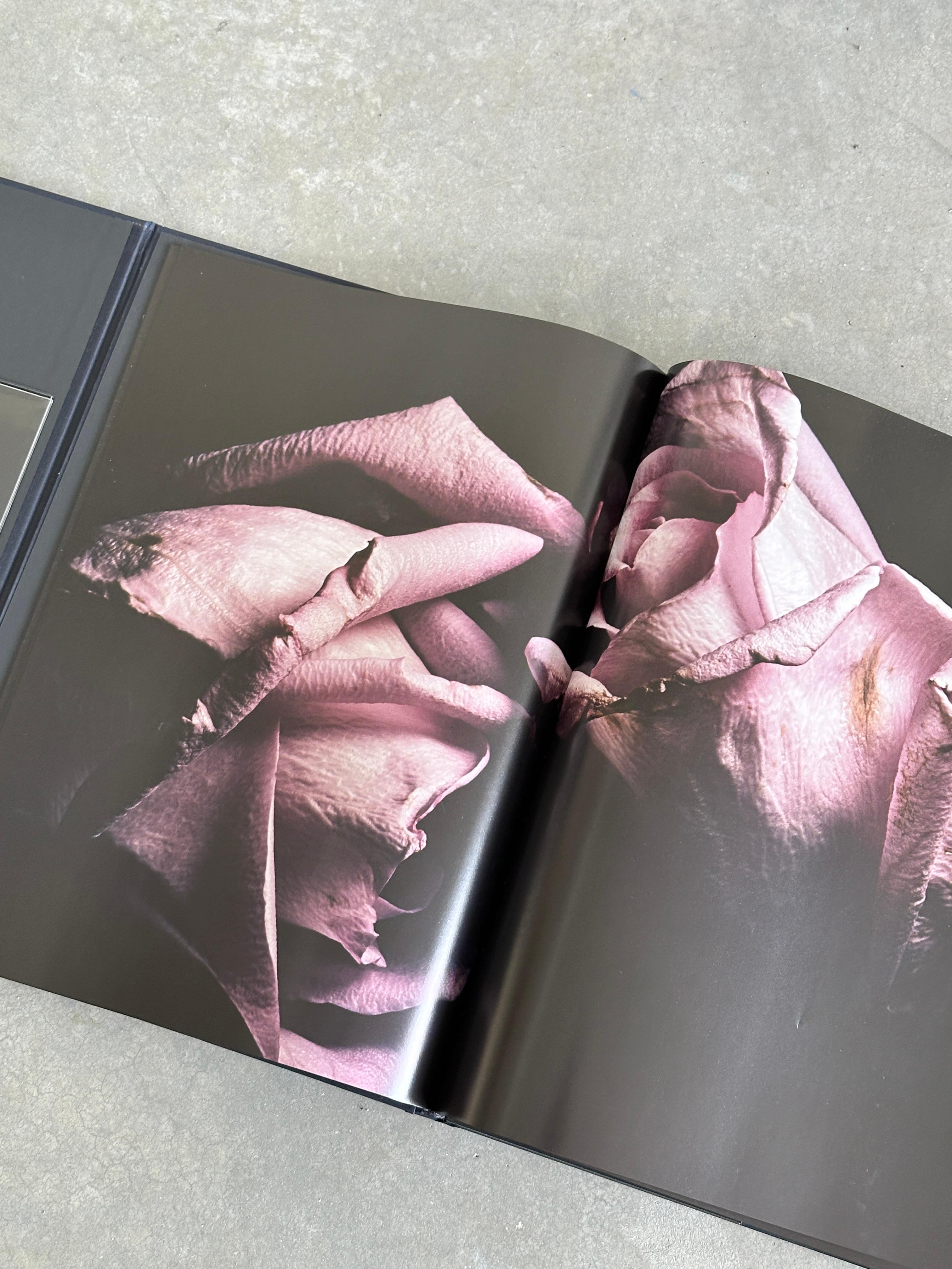VISIONAIRE 40 : Roses de David Sims (1202/3000) en vente 2