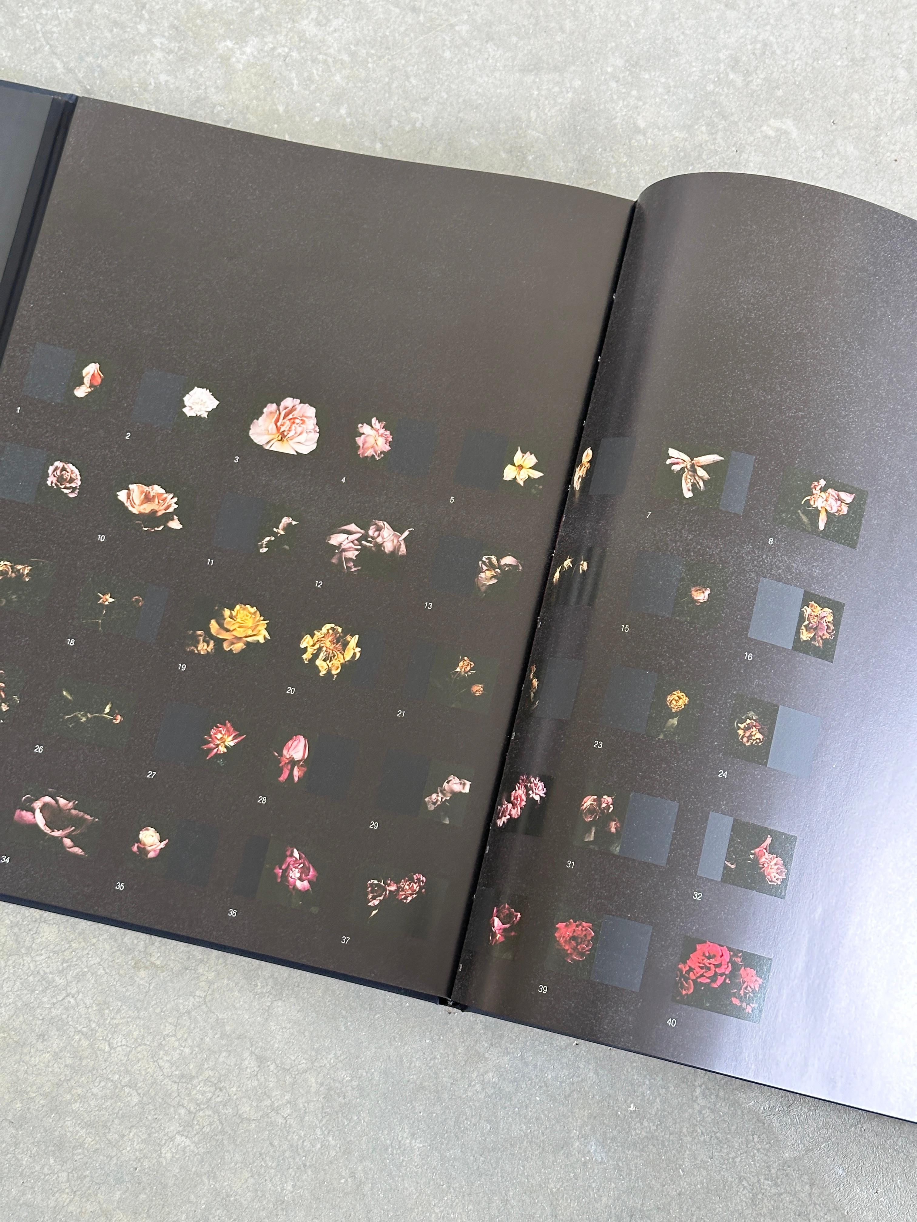 VISIONAIRE 40 : Roses de David Sims (1202/3000) en vente 4