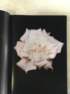 Numéro visionnaire 40 Roses de David Simms