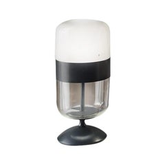 Vistosi Futura Medium Table Lamp with Black Frame by Hangar Design Group
