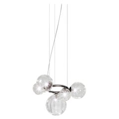 Vistosi Puppet Ring Pendant Light in Crystal Tr. Vetro e telaio nero opaco