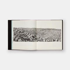 Vitamin D3 Today's Best in Contemporary Drawing Book