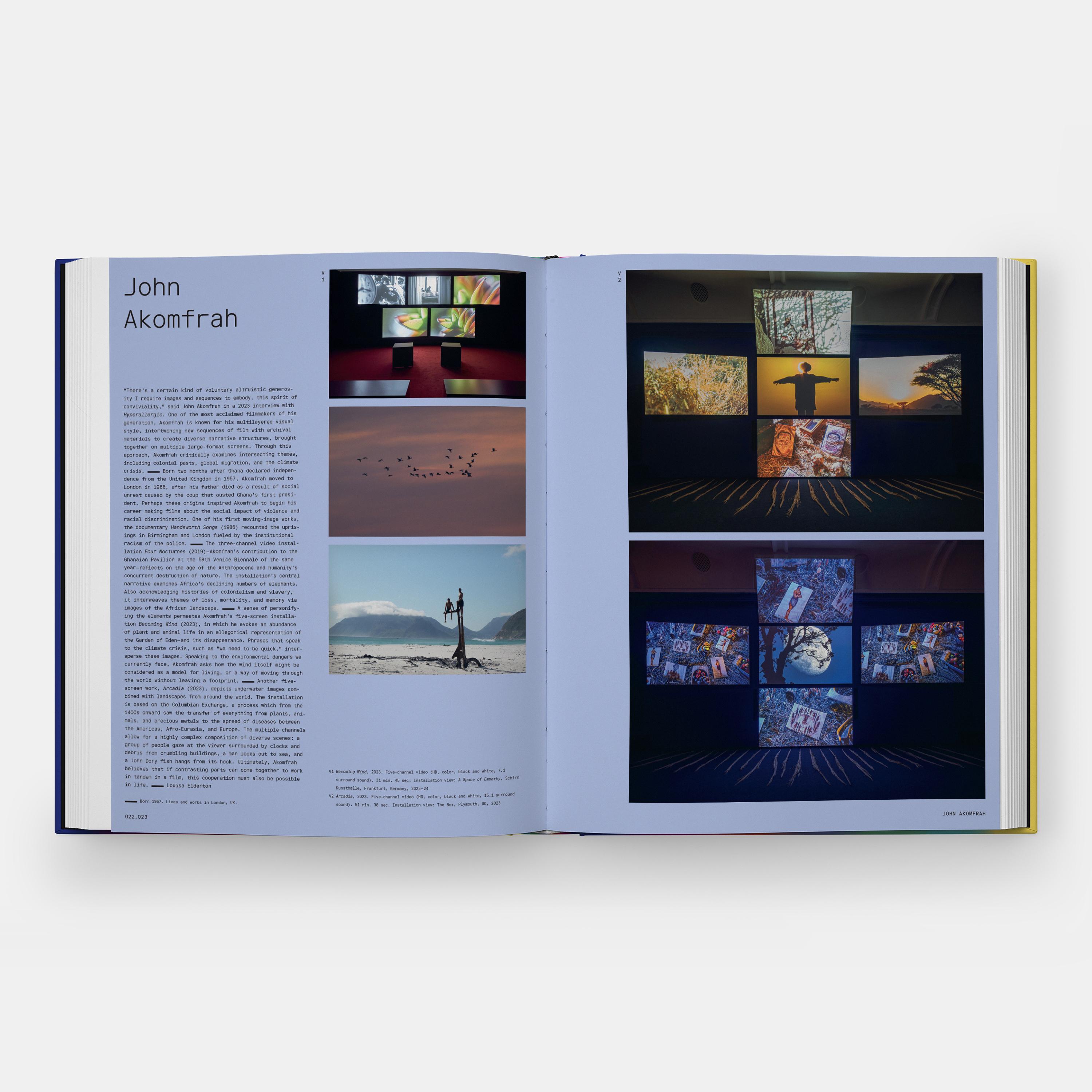Vitamin V Video and the Moving Image in Contemporary Art For Sale 5