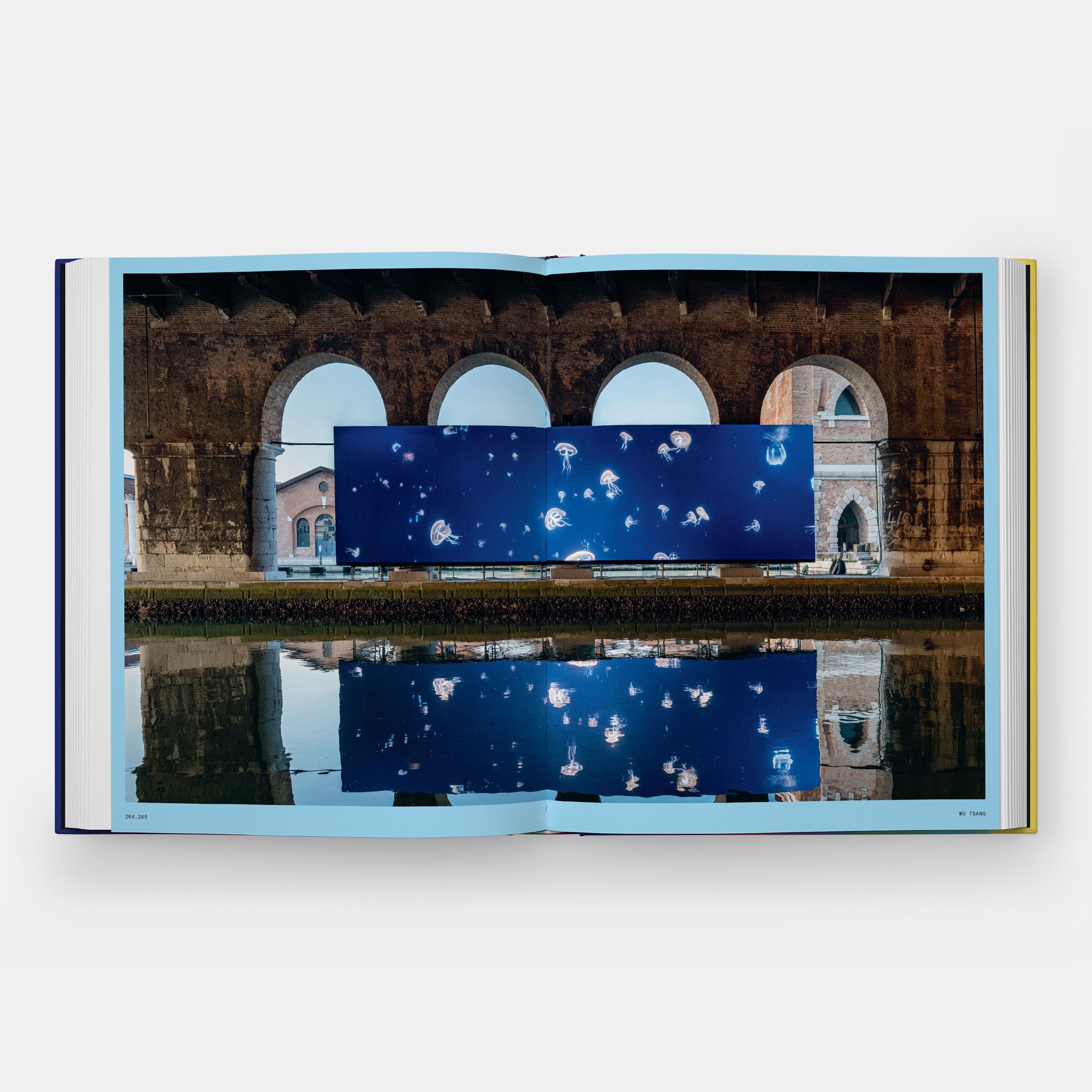 Paper Vitamin V Video and the Moving Image in Contemporary Art For Sale