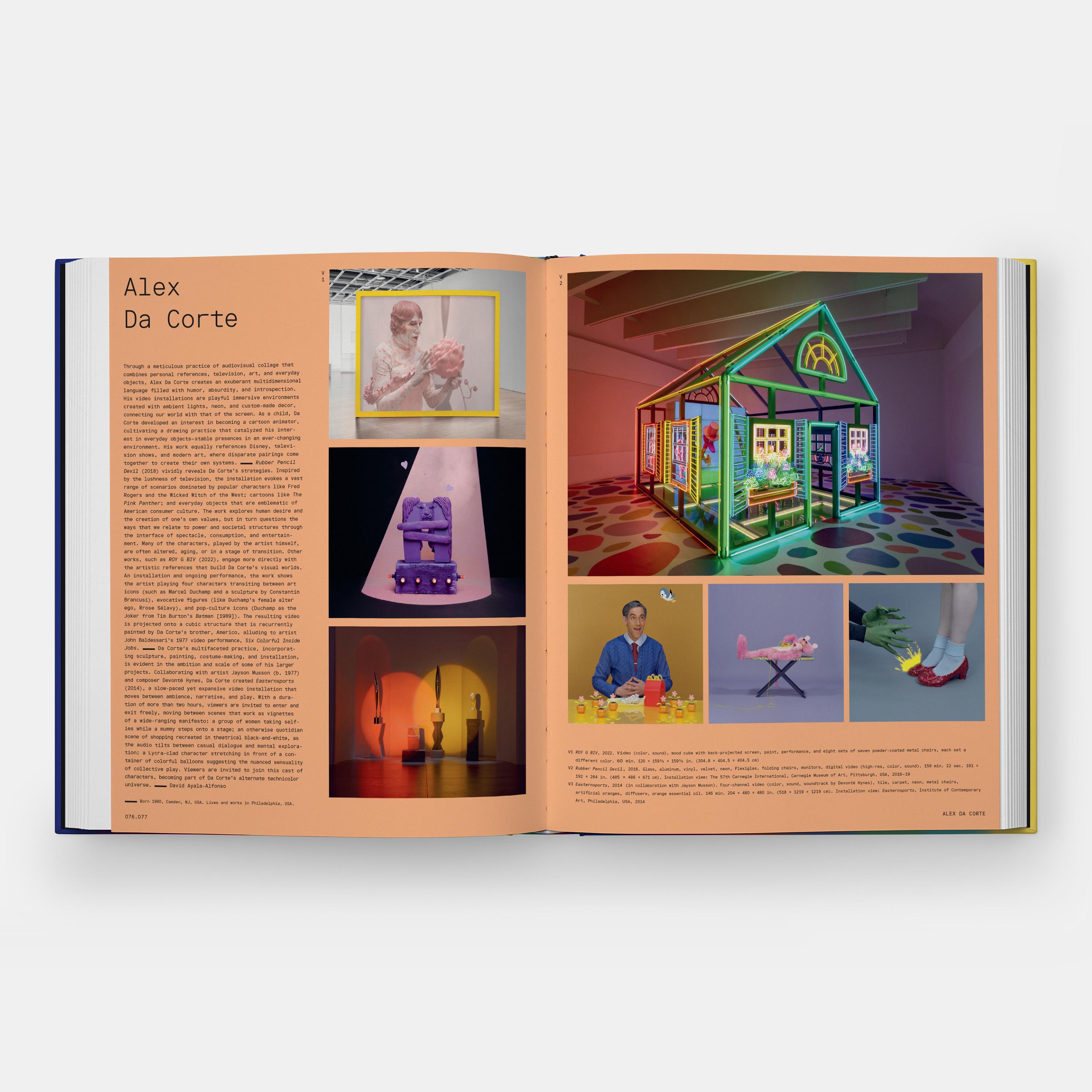 Vitamin V Video and the Moving Image in Contemporary Art For Sale 3