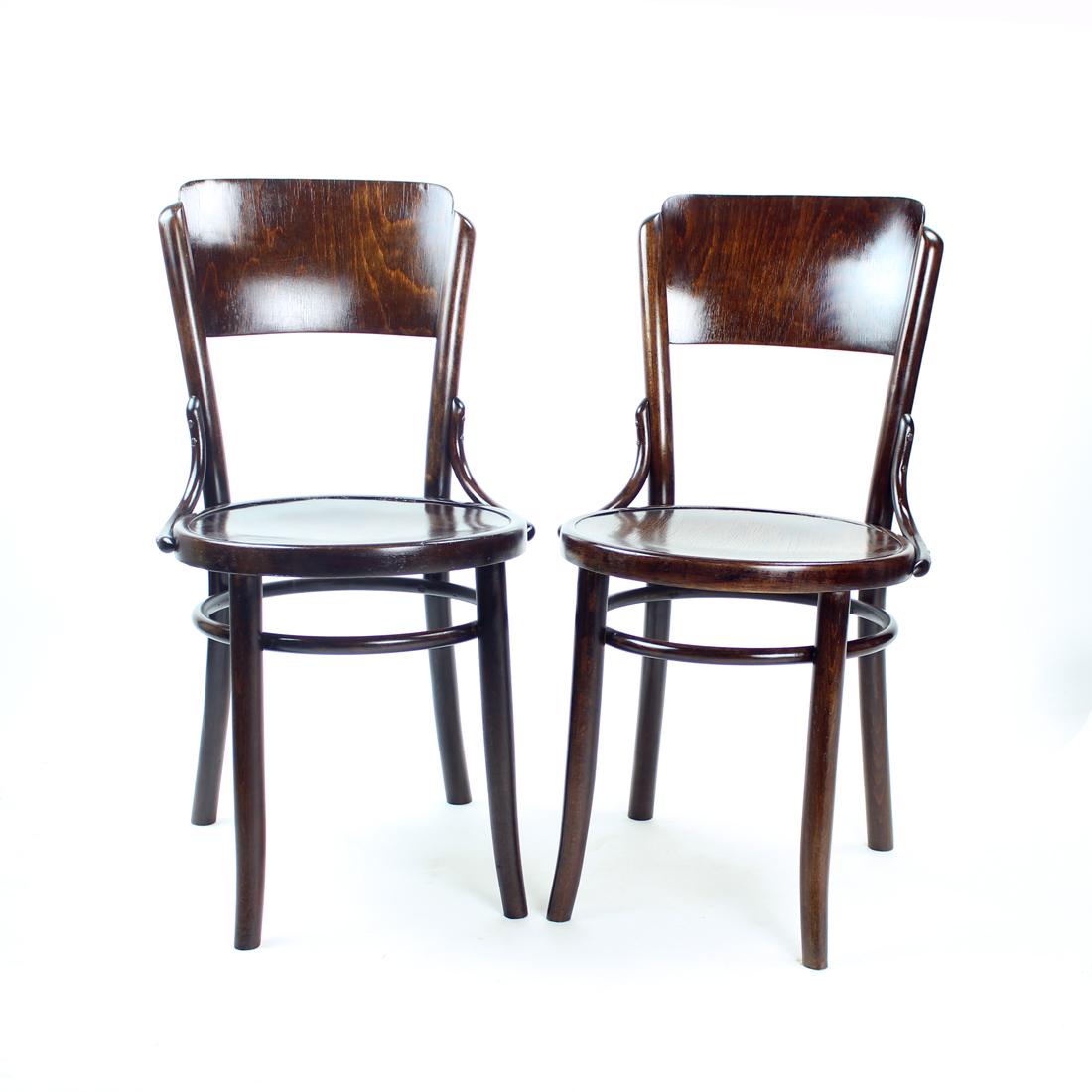 Vitange Thonet Bentwood Design Chair By Tatra, Czechoslovakia 1950s 7