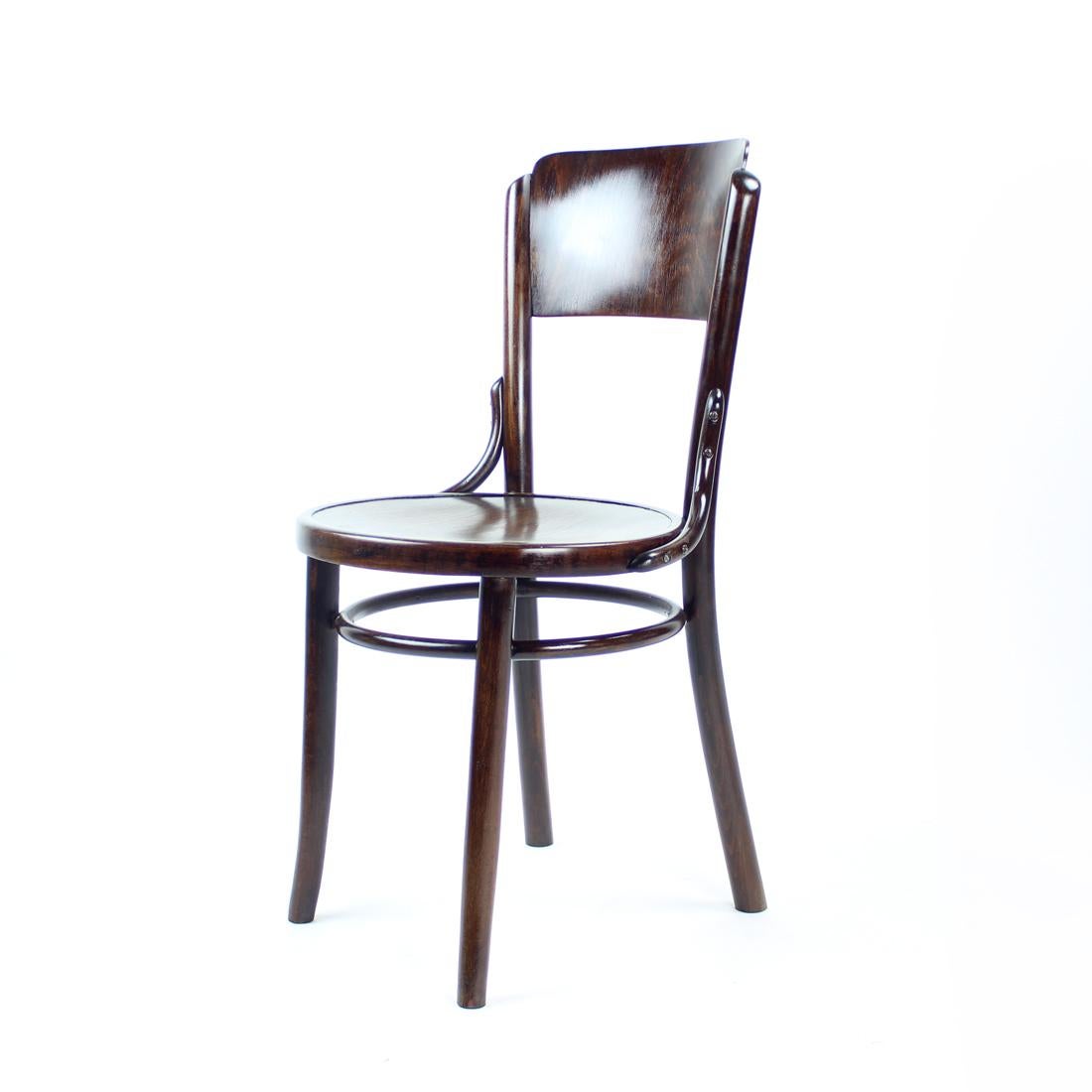 Stained Vitange Thonet Bentwood Design Chair By Tatra, Czechoslovakia 1950s