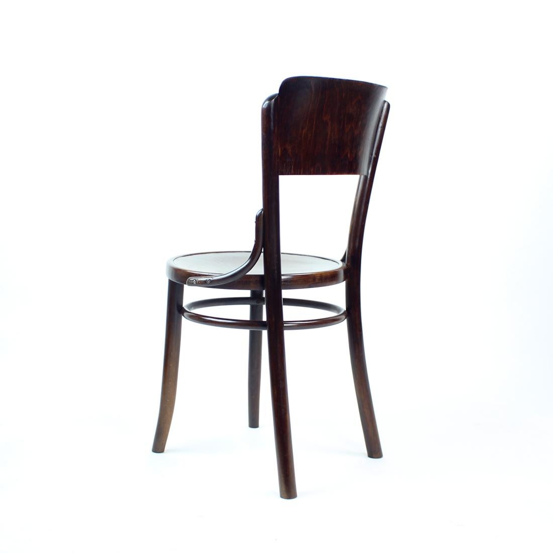 Mid-20th Century Vitange Thonet Bentwood Design Chair By Tatra, Czechoslovakia 1950s