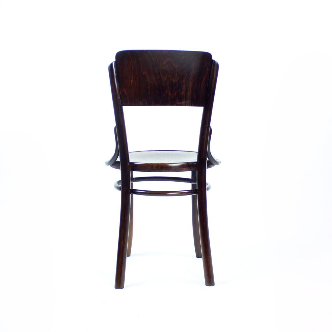Oak Vitange Thonet Bentwood Design Chair By Tatra, Czechoslovakia 1950s