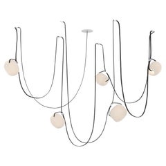 Vitis 5 Chandelier by RBW in Frosted Ivory Blown Glass and Black Wire