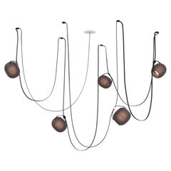 Vitis 5 Chandelier by RBW in Frosted Smoke Blown Glass and Black Wire