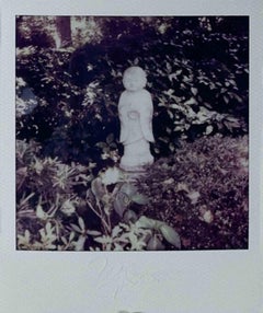 Budda pt.2 - Photograph by Vito Difilippo - 2024