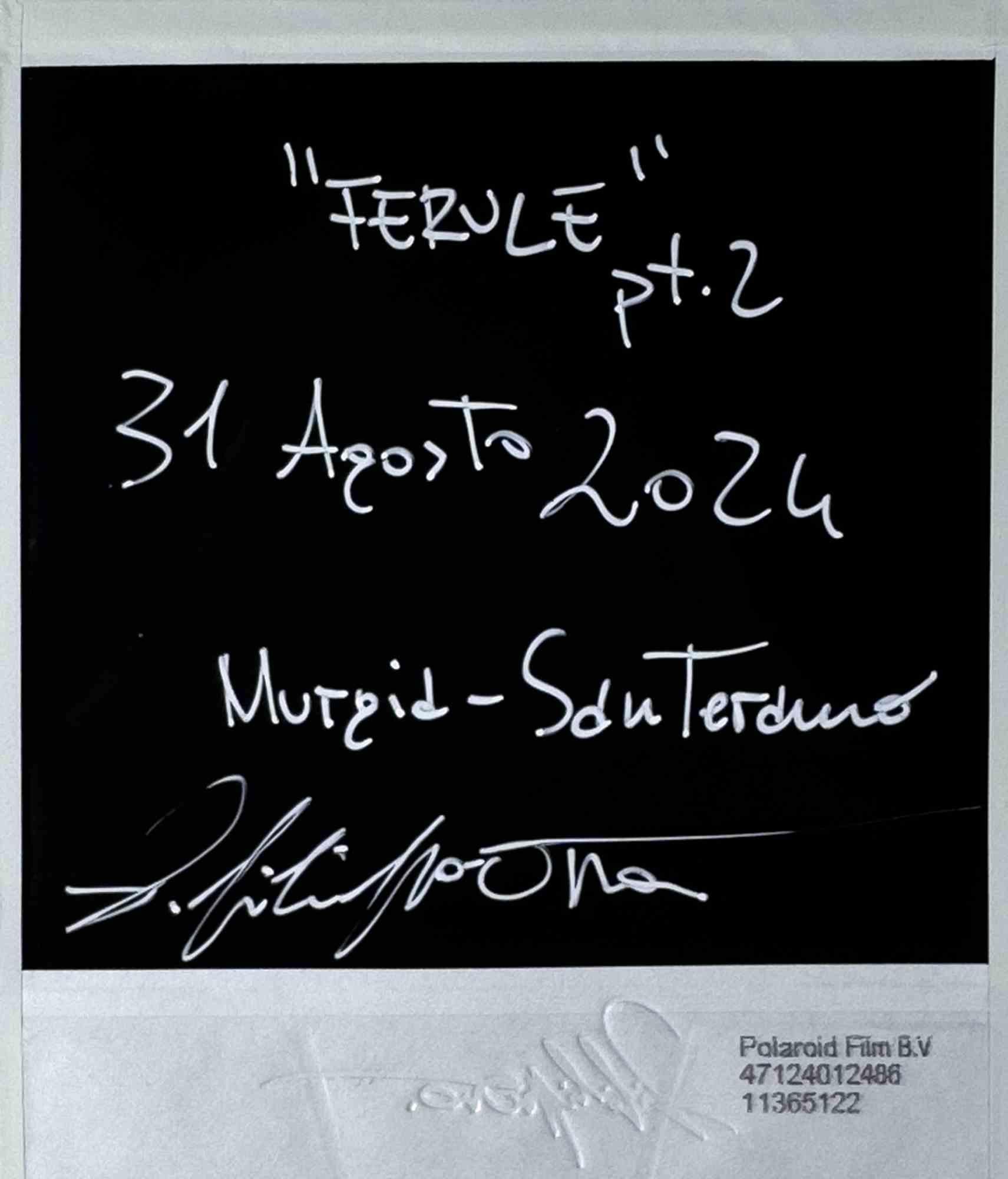 Ferule pt.2 - Photograph by Vito Difilippo - 2024 - Gray Color Photograph by VITO DIFILIPPO