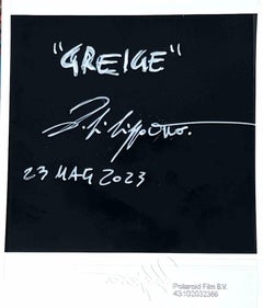 Greige - Photographie de Vito Difilippo - 2023