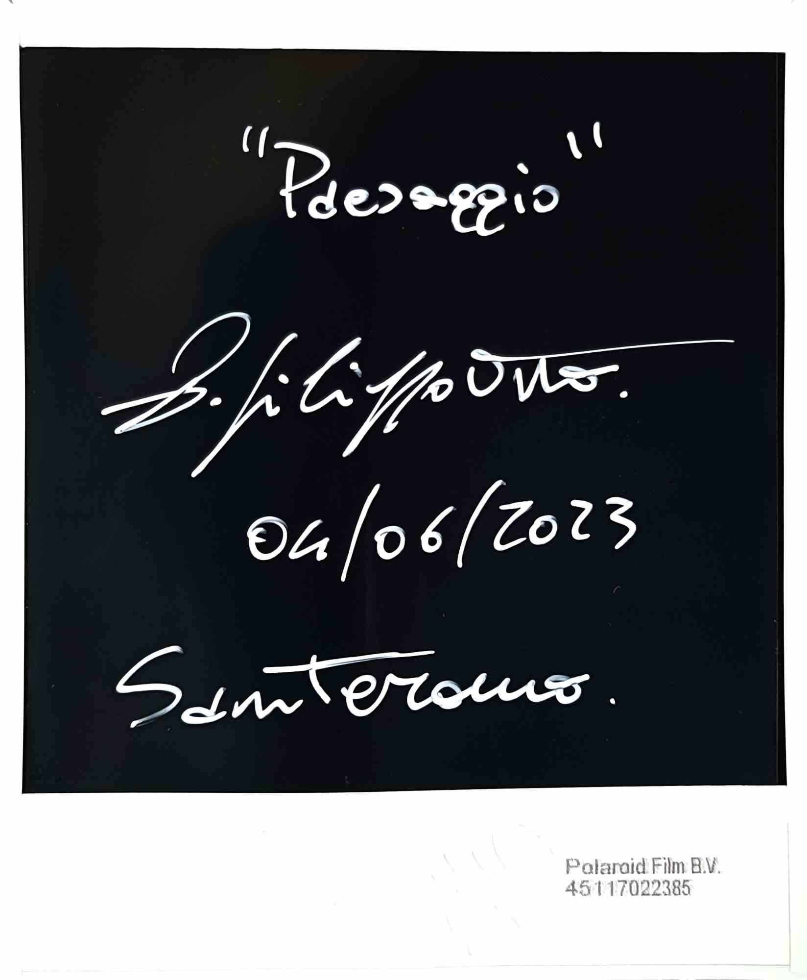 Paesaggio - Photograph by Vito Difilippo - 2023 - Black Landscape Photograph by VITO DIFILIPPO