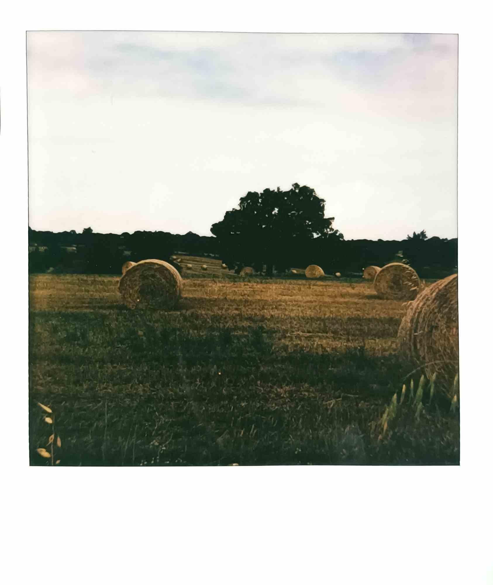 Paesaggio - Photograph by Vito Difilippo - 2023