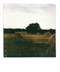 Paesaggio - Photograph by Vito Difilippo - 2023