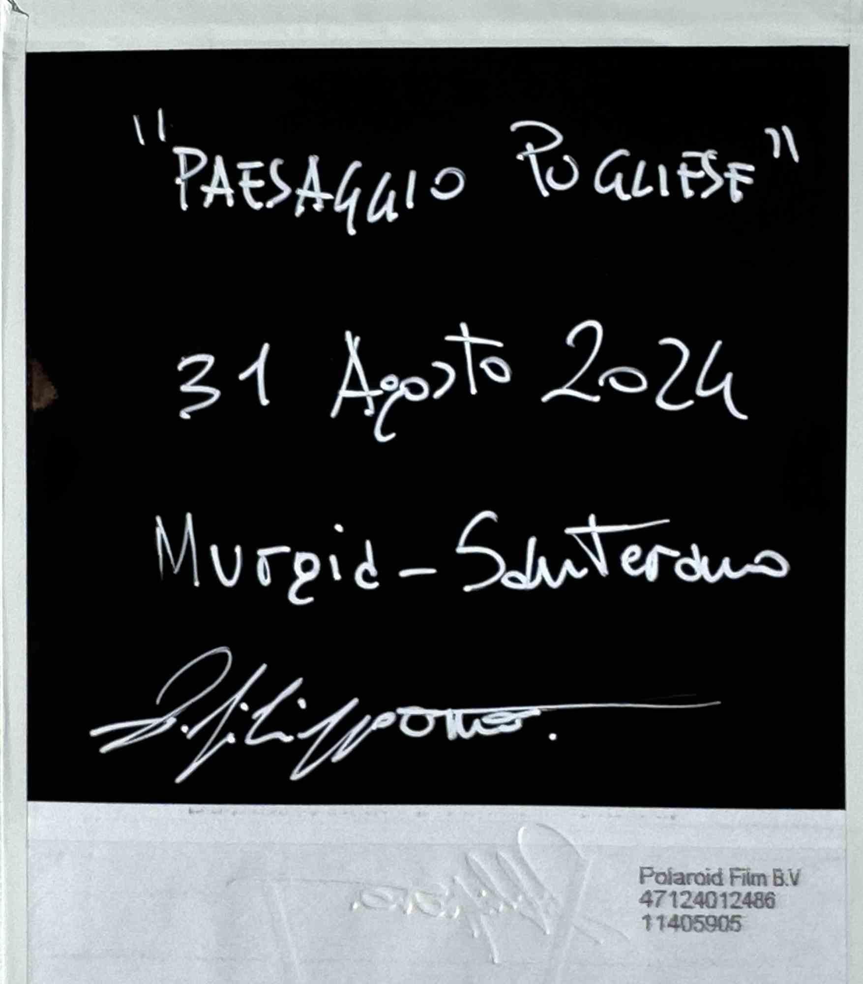 Paesaggio Pugliese - Photograph by Vito Difilippo - 2024 - Gray Color Photograph by VITO DIFILIPPO