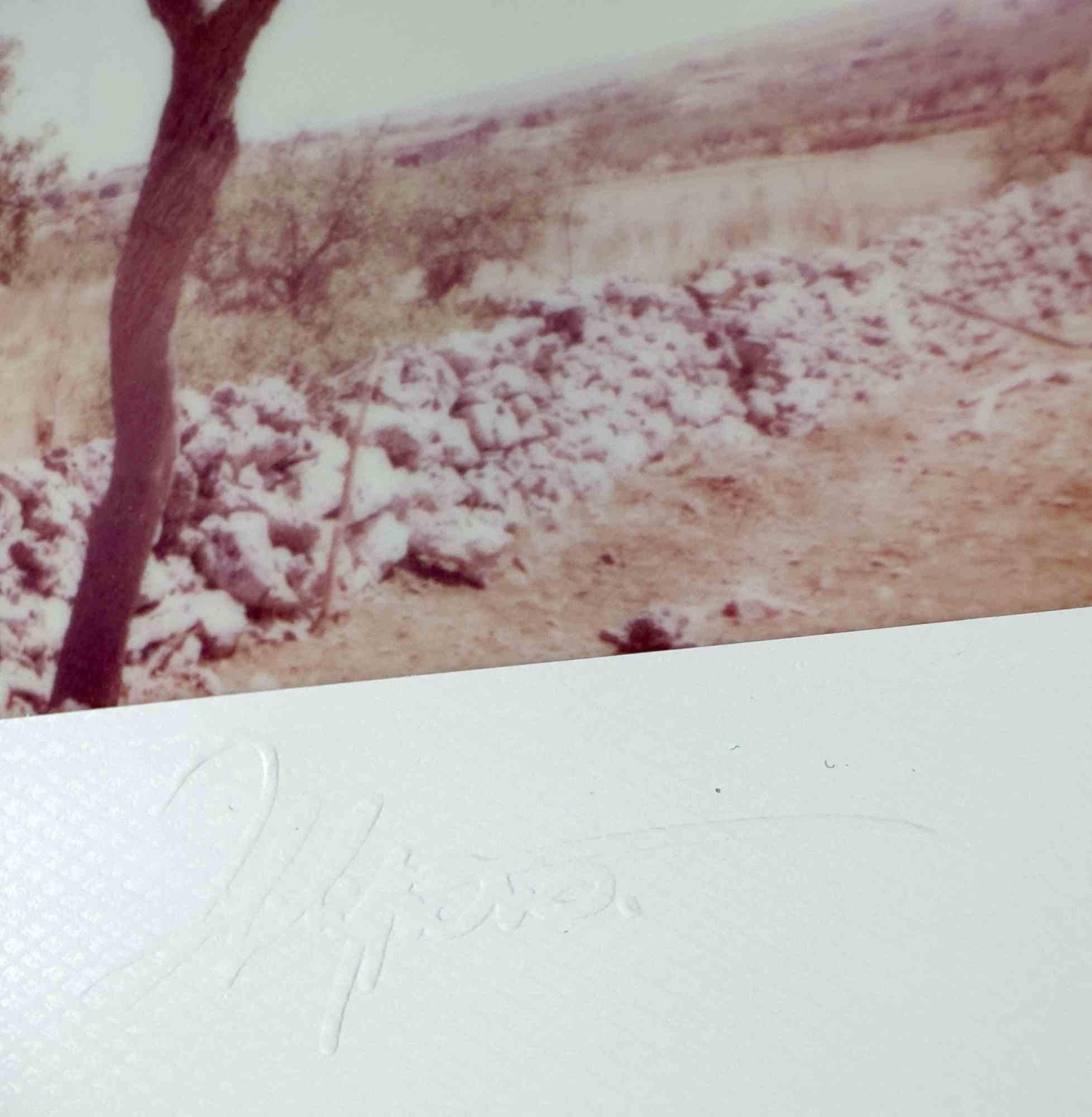 Photograph taken with Polaroid Now+ camera. Unique piece, embossed, signed on the back, and comes with a certificate of authenticity.