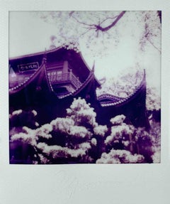 Temple- Photograph by Vito Difilippo - 2024