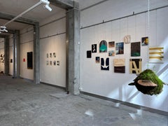 Pittura verde acqua e ombre, Il flauto magico, opera lirica tradotta visivamente