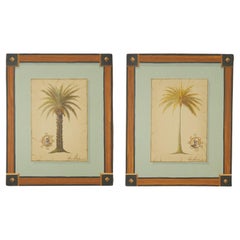 Vitorio Splendore Coppia di dipinti di palme d'epoca